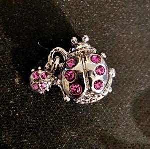 Pink Ladybug with Baby Pandora Style Charm